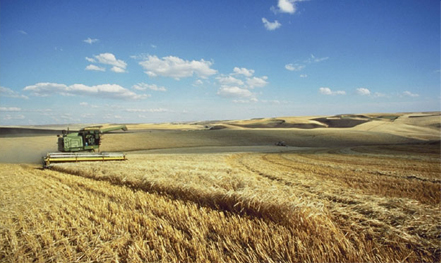 About U.S. Cooperators