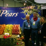 Pears_7550 (1)