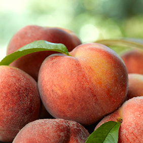 Pêches grillées avec coulis de cerises fraîches