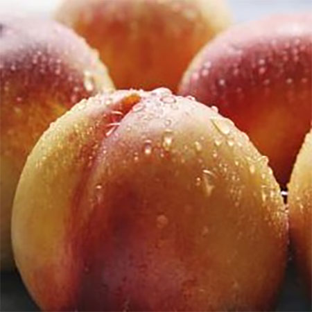 Salade de nectarine avec vinaigrette thaïlandaise